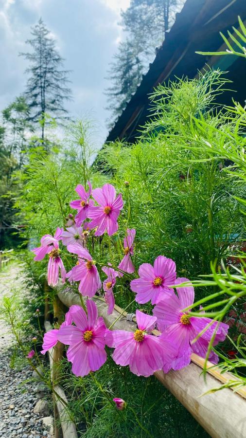 Himtrek Riverside Camps, Kasol Eksteriør bilde