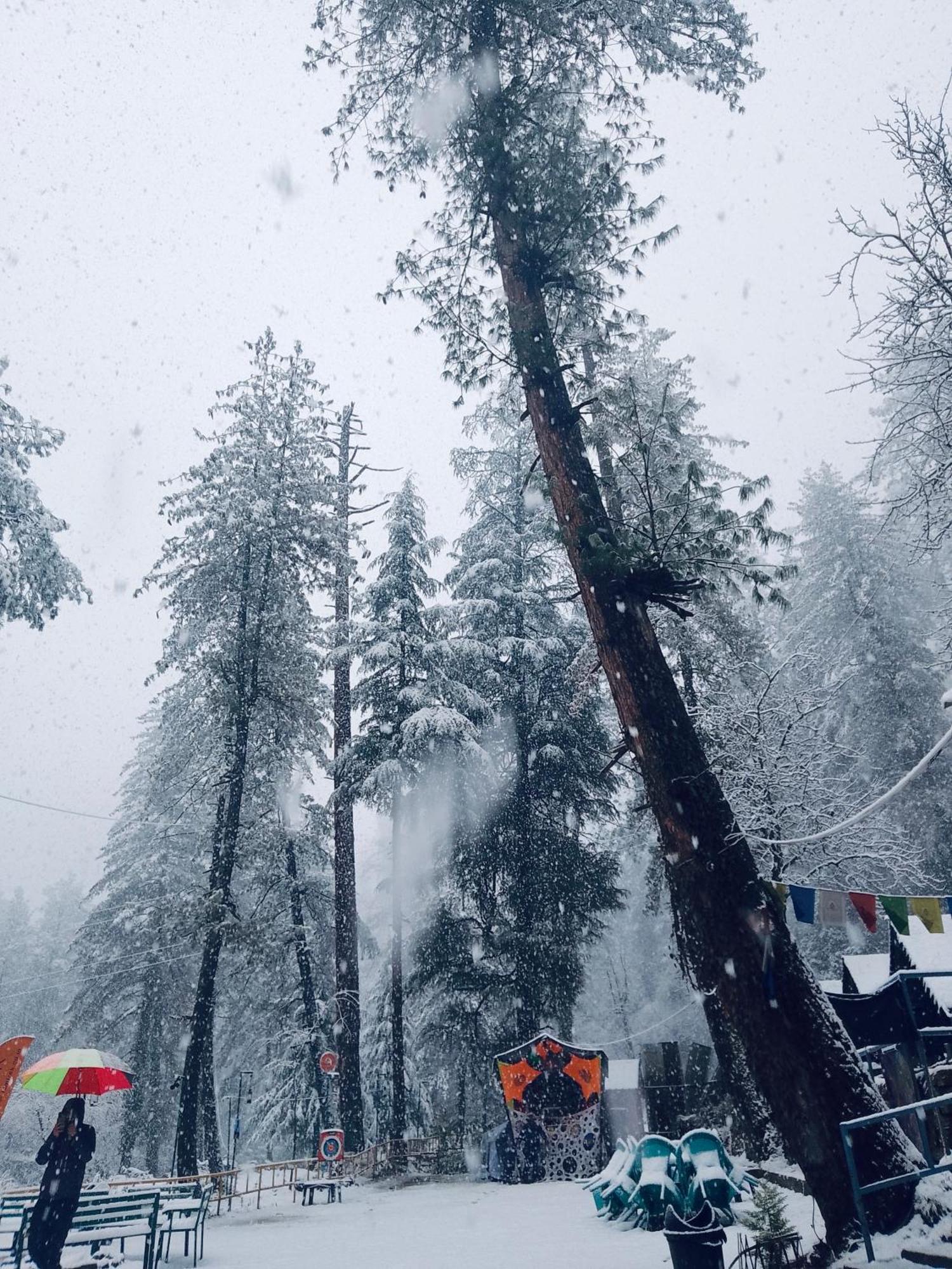 Himtrek Riverside Camps, Kasol Eksteriør bilde
